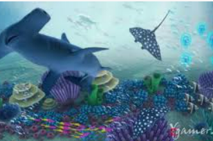 开元国际67ky电脑免费版